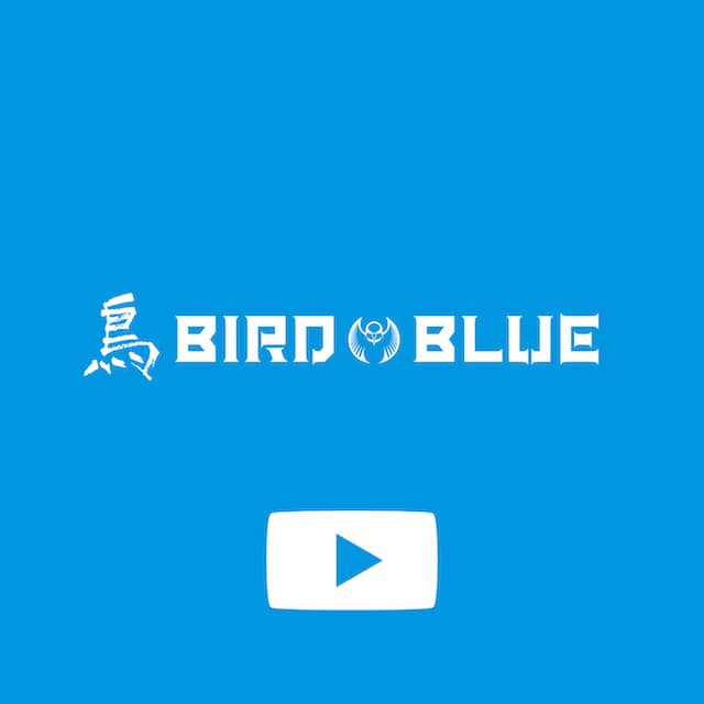 AJ Stages lineup - BLUE STAGE