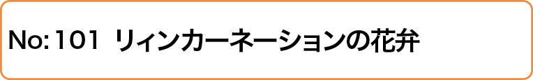 リィンカーネーションの花弁