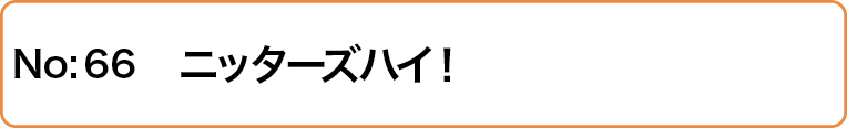 ニッターズハイ！