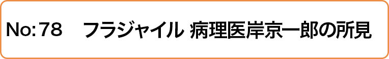 フラジャイル 病理医岸京一郎の所見